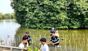 Patriot Desa, Cara Kabupaten Bekasi Lestarikan Lingkungan Lewat Penanaman Mangrove