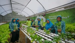 Hari Ibu, Para Ibu di Cisarua Dapat Kesempatan Belajar Tata Cara Tanam Sayuran Hidroponik di Royal Safari Garden