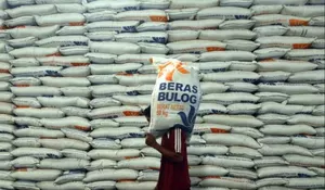 Filipina Umumkan Darurat Pangan, Kementan Indonesia Pastikan Produksi Beras Tetap Stabil