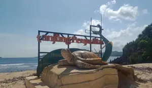 Cuma 10 Ribu Bisa Menikmati Tempat Wisata Pantai Tanjung Penyu Mas di Malang, Vibesnya Berasa di Bali!