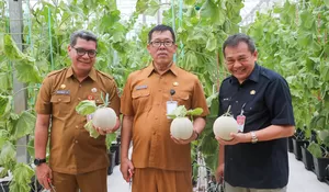 Benni Irwan Harap Melon Bisa jadi Komoditi Unggulan Seperti Manggis Purwakarta