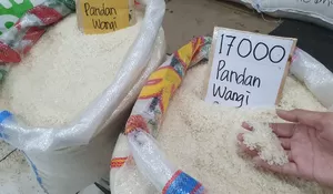 Hiks.. Harga Beras di Pasar Cibinong Bogor Naik Terus Sejak Awal 2024, Kini Tembus Rp17 Ribu