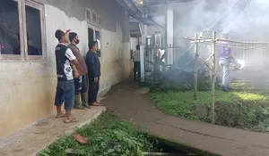 Ada Warga Kena DBD, Kades Palasari Cijeruk Gencarkan Fogging