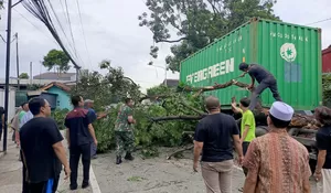 Truk Kontainer Tabrak Pohon di Bogor, Dahan Timpa Mobil, Jalan Kedung Halang Macet