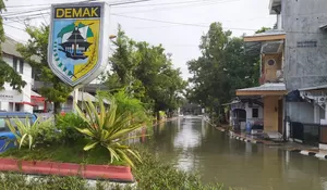 Banjir di Demak Meluas Akibat Tanggul Jebol, Ribuan Warga Terpaksa Mengungsi