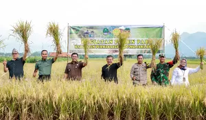 Kejar Ketersediaan Pangan Daerah, Purwakarta Bakal Lakukan Perluasan Area Tanam Persawahan