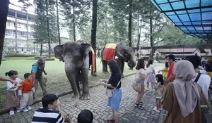 Cari Destinasi Libur Lebaran di Puncak Bogor? Ini Deretan Promo dan Fasilitas Lengkap di Royal Safari Garden