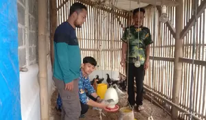 Penerima Bantuan Ketahanan Pangan 2023 di Cijeruk Bogor Sukses Kembangkan Ternak Ayam 