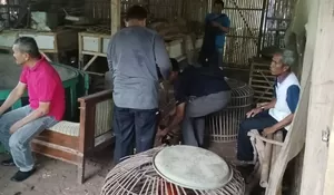 Polres Purwakarta Gerebek Judi Sabung Ayam di Ciganea, 11 Orang Diciduk Polisi