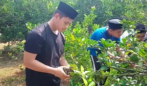Pesantren di Purwakara Didik Santri Lewat Bertani