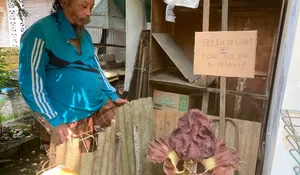 Heboh Bunga Bangkai Tumbuh di Halaman Rumah Warga di Kota Bogor, Pemilik Rumah Kaget Baru Sadar