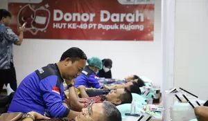 Bantu Stok Darah PMI Karawang, Direksi hingga Karyawan Pupuk Kujang Kompak Lakukan Donor Darah