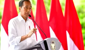 Ternyata Ini Alasan Kepala dan Wakil Otorita IKN Mundur dari Jabatan, Presiden Jokowi: Alasan Pribadi