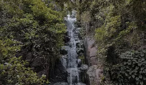 Lokasi dan Harga Tiket Curug Pitu Banjarnegara, Healing Berkedok Liburan