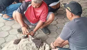 Momen Idul Adha, PT Asietaxe dan PT AHM Salurkan Hewan Kurban Lewat Desa Cikampek Selatan Karawang