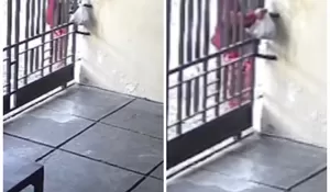 Video Detik-detik Seorang Emak-emak nekat Curi Daging Kurban di Sebuah Rumah di Sidoarjo