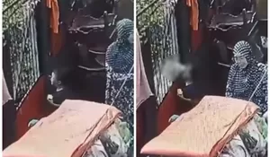 Video Detik-detik Seorang Bocah Digigt Anjing di Cipulir, Jakarta Selatan, Hingga Sebabkan Putus Syaraf Air Mata