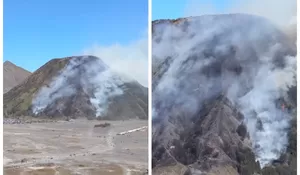 Kawasan Gunung Bromo Kebakaran Lagi, Titik Lokasi Api di Area Gunung Batok