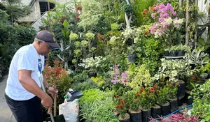 Cerita Klaster Bunga Bratang Binaan BRI di Kota Surabaya, Punya Tempat Usaha Nyaman yang Membuat Bisnis Terus Berkembang