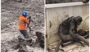 Video Seekor Monyet yang Diselamatkan Petugas Tambang di Kaltim Usai Terjebak di Area Lumpur, Netizen: STOP RUSAK HABITAT MEREKA