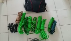 Polisi Tangkap Maling Kerbau di Bogor, Spesialis Curi Hewan Ternak di Berbagai Wilayah