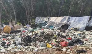 Tumpukan Sampah di TPS Liar di Kotabaru Meresahkan Warga, Bupati Karawang Bakal Panggil DLHK