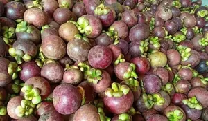 Tiap Desa di Purwakarta Diproyeksi Punya Satu Produk Unggulan Hasil Pertanian