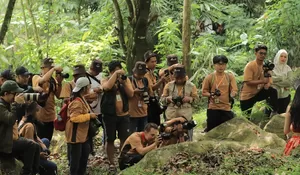 Taman Safari Bogor Jadi Kota Terakhir Roadshow International Animal Photo and Video Competition (IAPVC) Satwa ke-33, Perkenalkan Katagori Baru