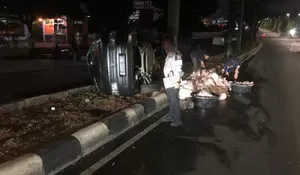 Ayam Potong Bertebaran di Depan BPBD Kabupaten Bogor, Ternyata Ini Penyebabnya