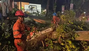 Sepanjang 2024 hingga Juli, Lebih dari 400 Bencana Terjadi di Kota Bogoe, 7 Warga Meninggal