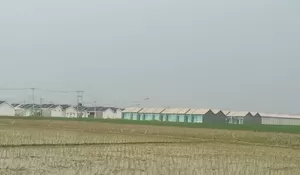 Gawat! Alih Fungsi Lahan Pertanian jadi Perumahan di Majalaya Karawang Makin Mengkhawatirkan