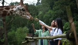 3 Tempat Wisata Yang Mengadakan Promo saat 17 Agustus dengan Berbagai Diskon Menarik 