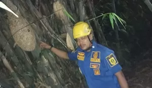 Sarang Tawon Ganggu Lomba 17-an, Damkar Bogor Turun Tangan