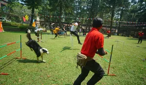 Cari Liburan Seru Sembari Rayakan Hari Kemerdekaan? Menginap di Royal Safari Garden Bisa Lomba Bareng Satwa, Lho!