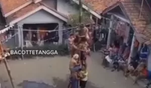 Panjat Pinang di Brebes Berujung Petaka, Seorang Peserta Dikabarkan Lomba Meninggal Dunia usai Tertimpa Teman