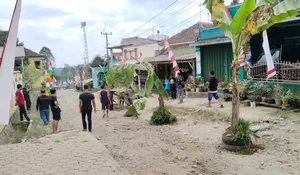 Kesal Lantaran Pemkab Purwakarta Dianggap Tutup Mata, Warga Tanam Pohon Pisang di Tengah Jalan Rusak di Pasirangin