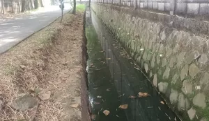 Buangan Limbah Diduga Timbulkan Bau Tak Sedap, Ini Kata PT Calbee Wings Food di Karawang