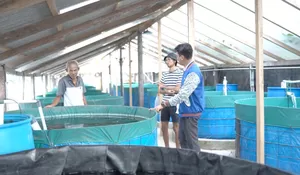 Dukung Pengembangan Ekonomi Desa, Program Desa BRILiaN 2024 Dilanjutkan