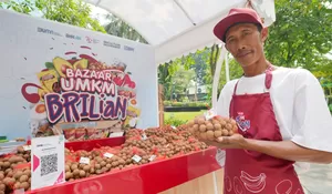 Pemberdayaan BRI Bikin Klaster Kelengkeng di Tuban Makin Bersinar, Sukses Kembangkan Pertanian Kelengkeng New Kristal