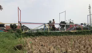 Imbas Kemarau, Taman Sampora Legok Cibinong Kondisinya Memprihatinkan