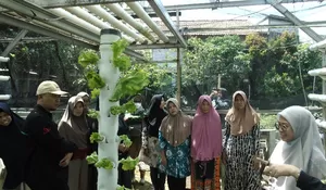 Sekolah Vokasi IPB Dorong KWT Ciharashas Kuasai Hidroponik Vertikultur Modern