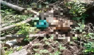 Penemuan Kerangka Manusia di Gunung Kendal Bikin Geger Warga Klapanunggal Bogor