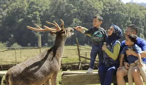 6 Tempat Wisata Ciwidey Bandung Terbaru Cocok untuk Liburan Keluarga, Lokasinya Saling Berdekatan!