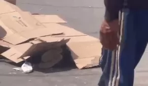 Tabrak Truk di Jalan Menikung, Pengendara Scoopy Tewas di Jalan Raya Jonggol - Cariu