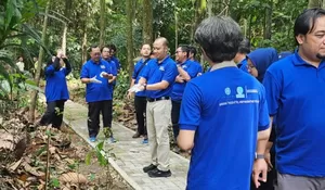 Jadi Wahana Edukasi, Pohon-Pohon Langka Mulai Ditanam di Arboretum Hutan Tropika IPB