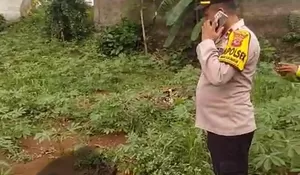 Terungkap Misteri Penemuan Mayat Perempuan hanya Kenakan Rok dan Bra di Kebun Singkong, Polisi Beberkan Dugaan Penyebab Kematian
