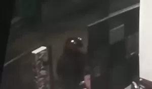 Berpenampilan Serba Hitam, Pelaku Curanmor Terekam CCTV Gasak Motor di Cibinong