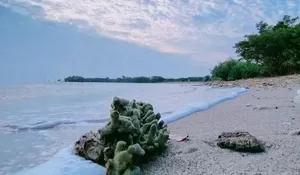 Tempat Wisata Malam di Lamongan Yang Wajib Dikunjungi saat Liburan untuk Bersantai atau Healing