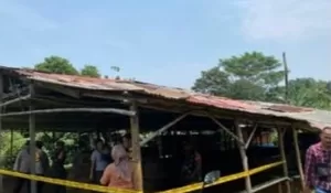 Polisi dan TNI Gerebek Tempat Judi Sabung Ayam di Cibinong, Ini Hasilnya
