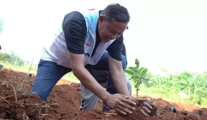 Tri Adhianto Dorong Urban Farming Sebagai Solusi Ketahanan Pangan dan Wisata Hijau di Kota Bekasi